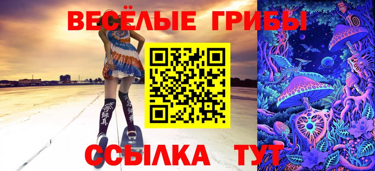 купить наркотики цена  Псилоцибиновые грибы мицелий  Кандалакша  Вход с VPN  Псилоцибиновые грибы Psilocybe 