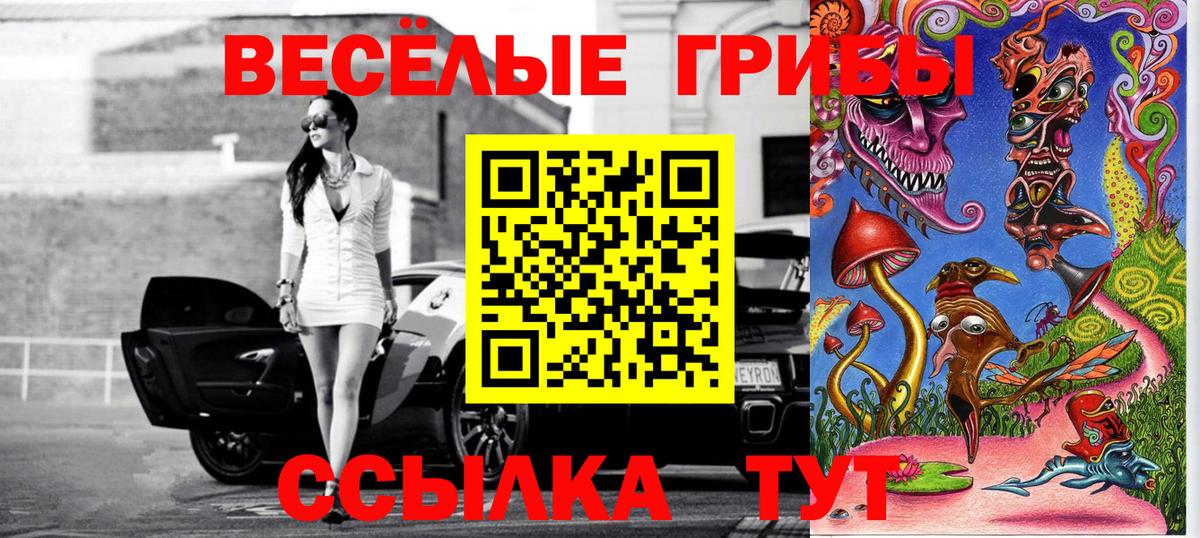 Псилоцибиновые грибы Psilocybine cubensis Кандалакша
